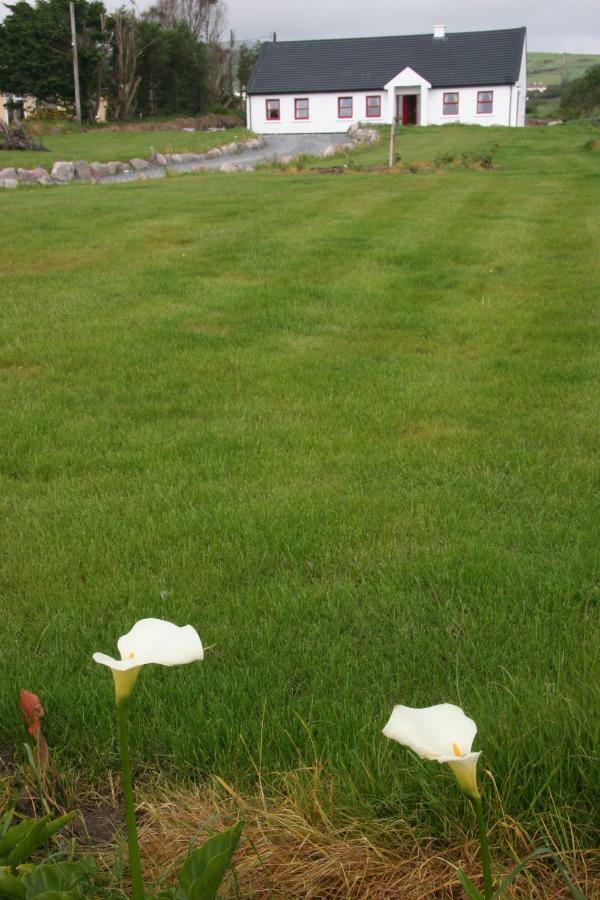 Rose Cottage Ballinskelligs Exterior photo